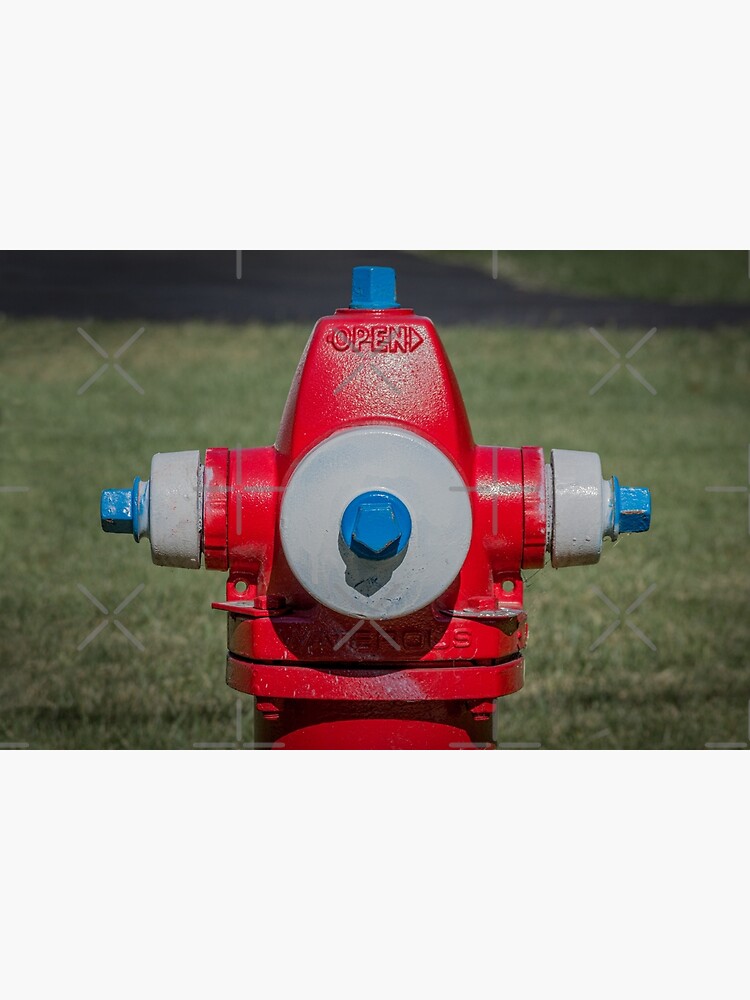 "Front Facing Waterous Fire Hydrant" Poster for Sale by Enzwell Redbubble