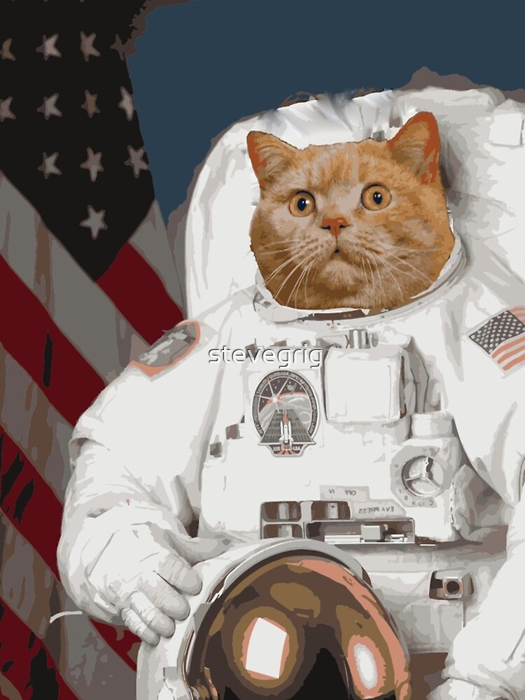 "Space Pussy" iPhone Case for Sale by stevegrig Redbubble