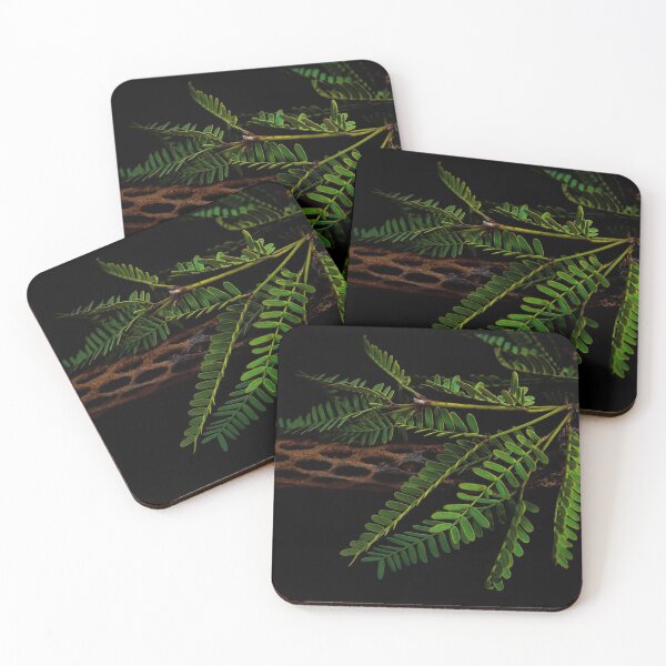 Item preview, Desert Cholla Wood and Mesquite on Black designed and sold by SiliconValleyUS.