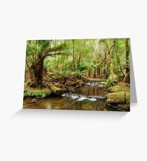 Russell Falls Creek Greeting Card