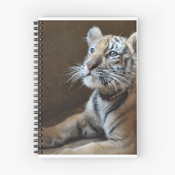Item preview, Cute Tiger designed and sold by travelnerd.