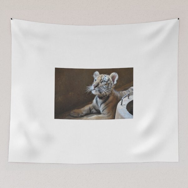 Item preview, Cute Tiger designed and sold by travelnerd.