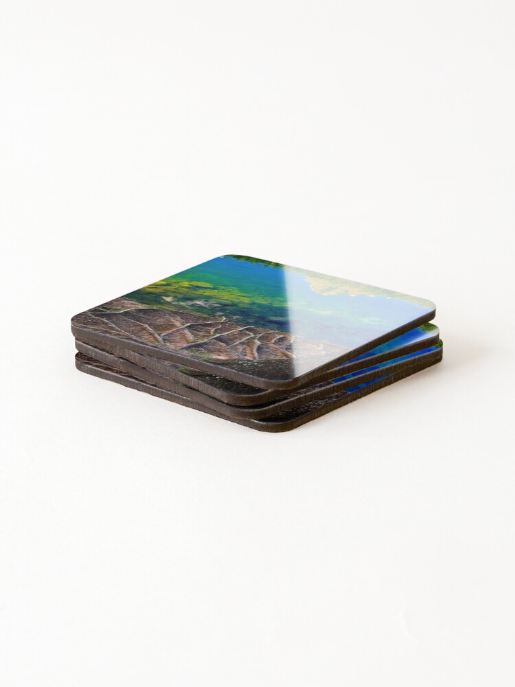 Thumbnail 4 of 5, Coasters (Set of 4), Reflecting Roots designed and sold by BarbaraBrander.