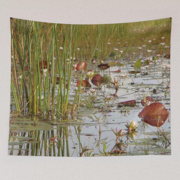 Item preview, Waterlillies Among Tall Reeds and Water Reflections of the Sky. designed and sold by KarenZuk.