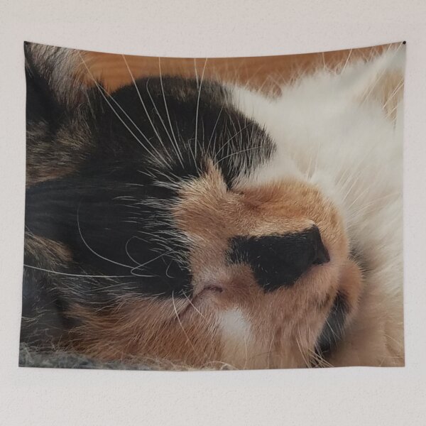 Item preview, Sleeping Calico designed and sold by Rebecca Jane.