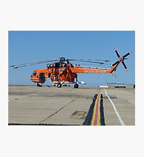 flying-monster collection 017 Photographic Print