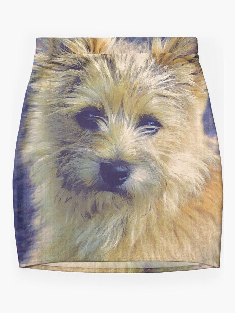 Mini clearance cairn terrier