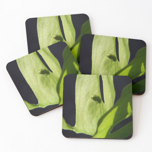 Item preview, ©NS Light And Shadow Leaf IA. designed and sold by OmarHernandez.