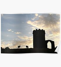 Old John at Bradgate park Poster