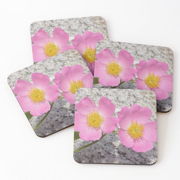Item preview, Wild Roses designed and sold by Rebecca Jane.