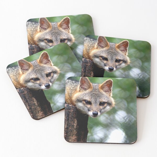 Item preview, sli fox designed and sold by pcfyi.