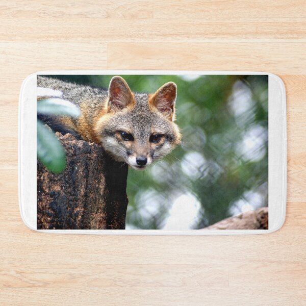 Item preview, sli fox designed and sold by pcfyi.