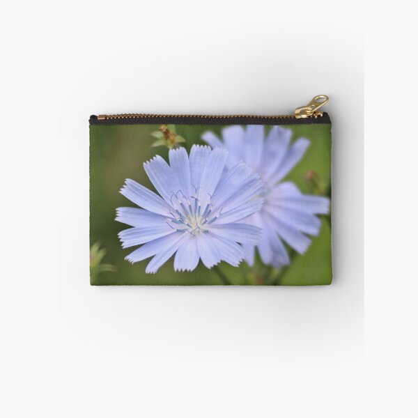 Item preview, blue chicory wildflower bloom designed and sold by tigerr.