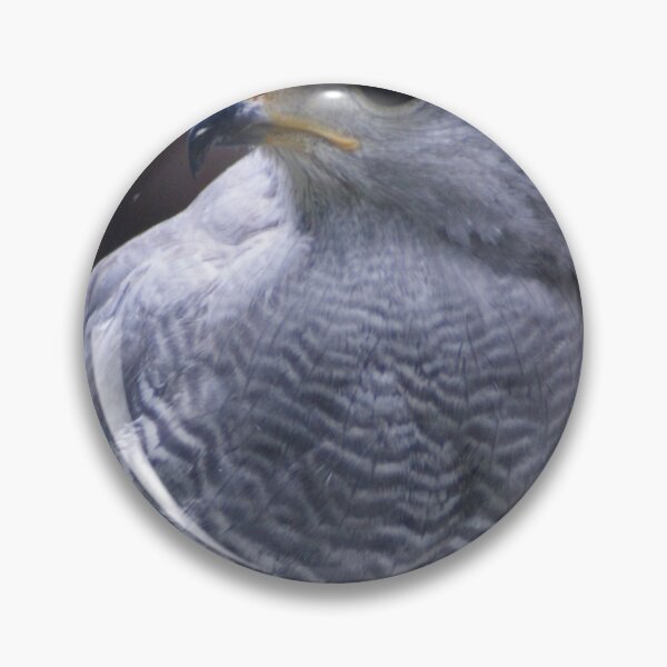 Item preview, sli harris eagle designed and sold by pcfyi.