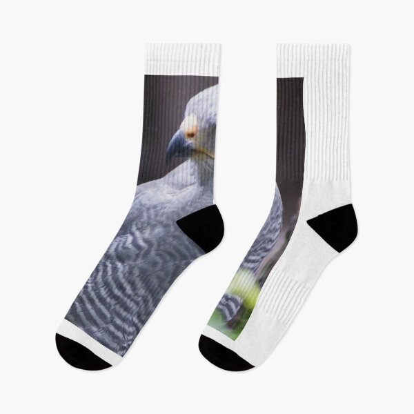 Item preview, sli harris eagle designed and sold by pcfyi.