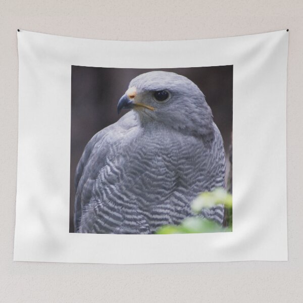 Item preview, sli harris eagle designed and sold by pcfyi.