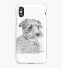 Potter iPhone Case/Skin