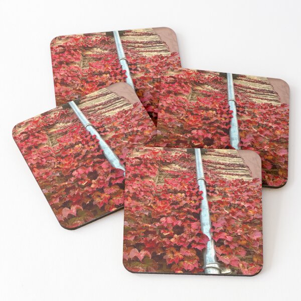 Item preview, Red Vines on a Brick Building designed and sold by lisapicklepizza.