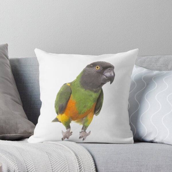 Item preview, Senegal Parrot designed and sold by wendy4496.