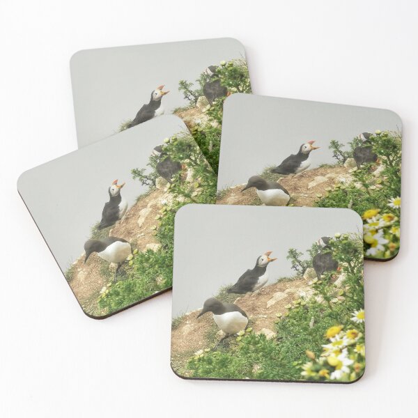 Item preview, Puffins designed and sold by AmyHuntPhotos.