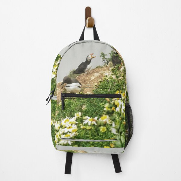 Item preview, Puffins designed and sold by AmyHuntPhotos.