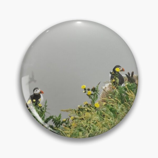Item preview, Puffin Trio designed and sold by AmyHuntPhotos.