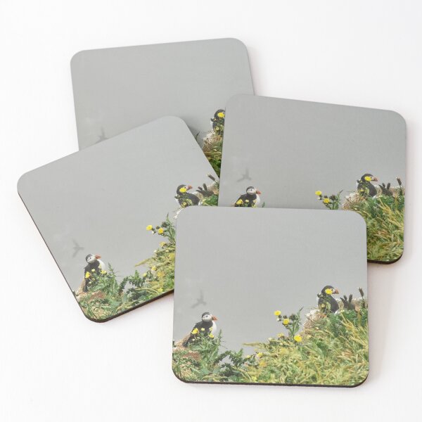 Item preview, Puffin Trio designed and sold by AmyHuntPhotos.