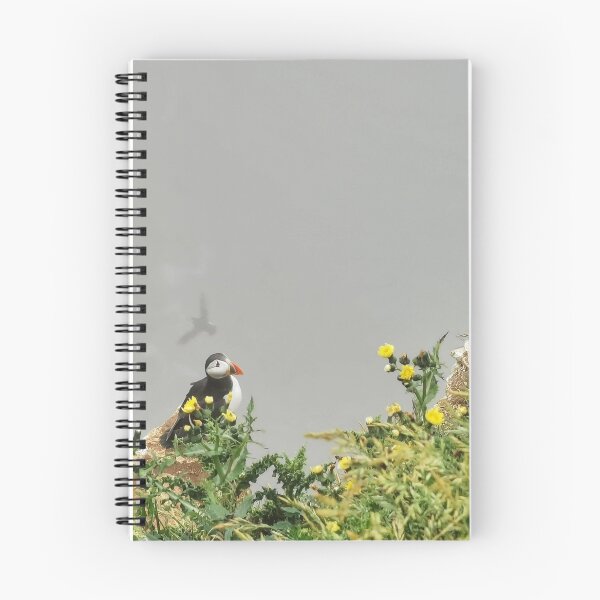 Item preview, Puffin Trio designed and sold by AmyHuntPhotos.