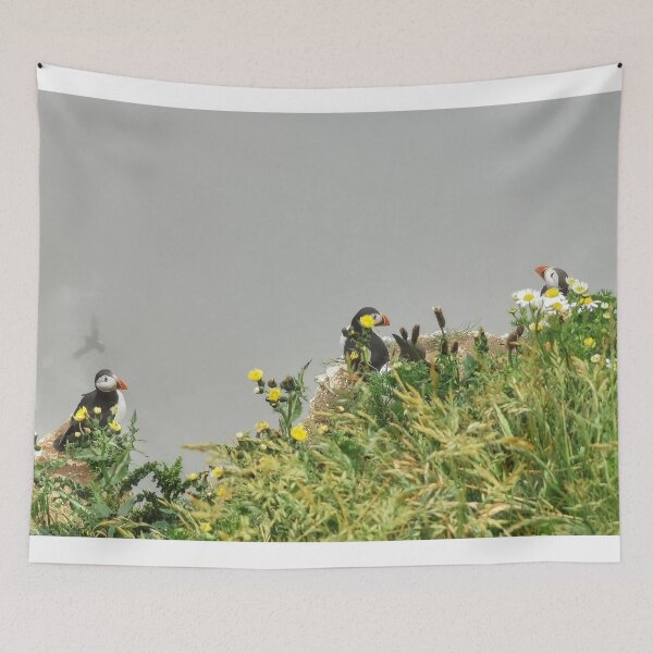 Item preview, Puffin Trio designed and sold by AmyHuntPhotos.