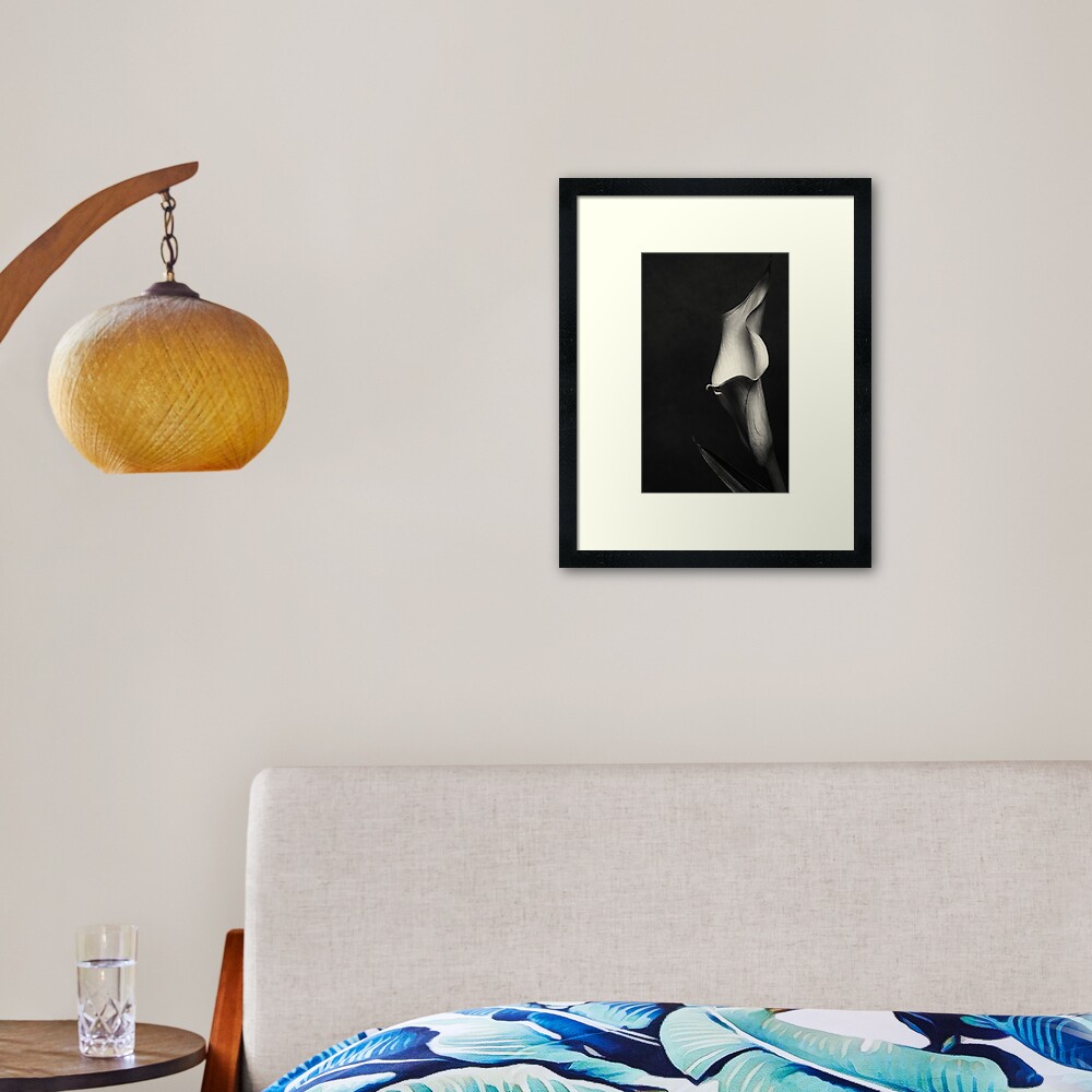Item preview, Framed Art Print designed and sold by FrankThomas.