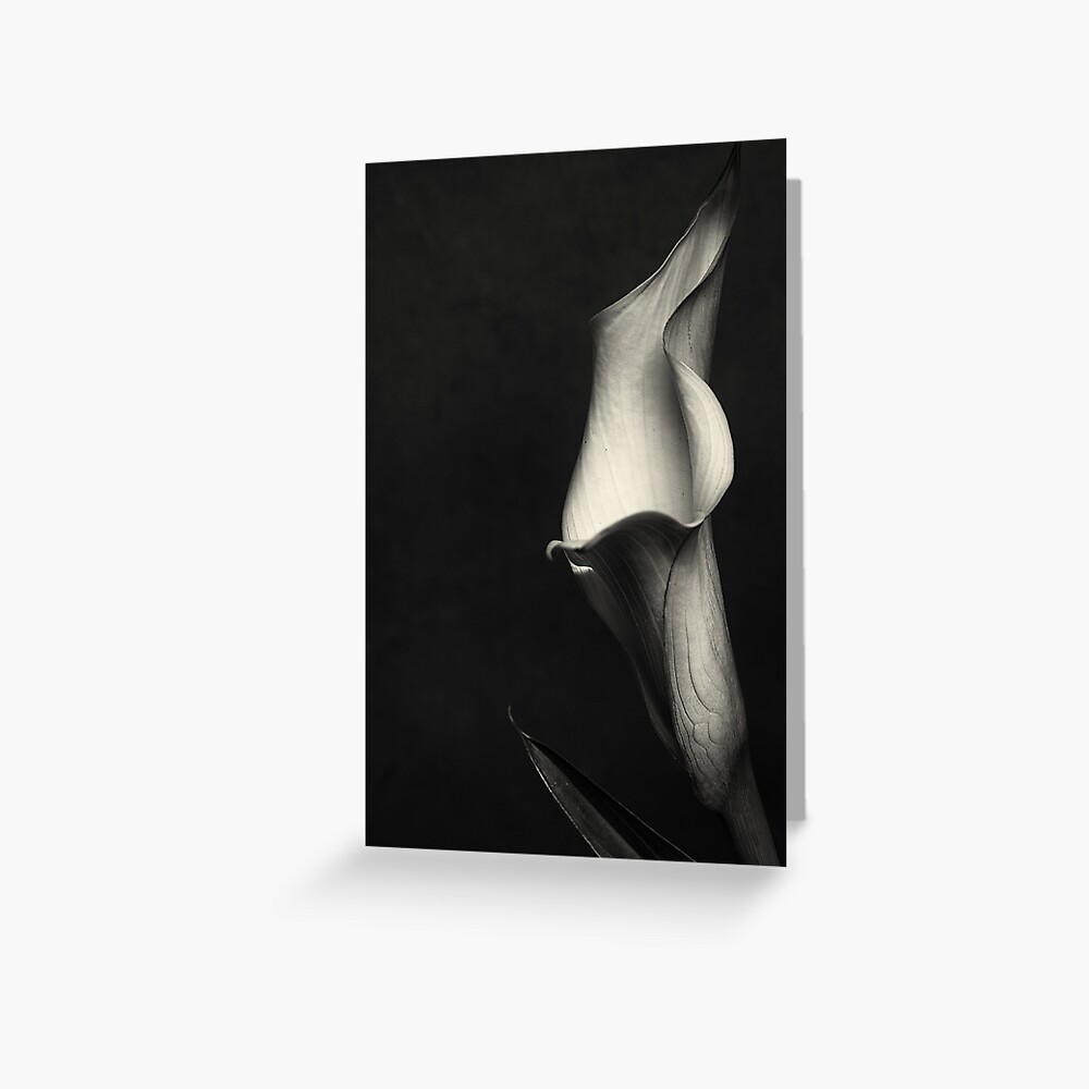 Item preview, Greeting Card designed and sold by FrankThomas.