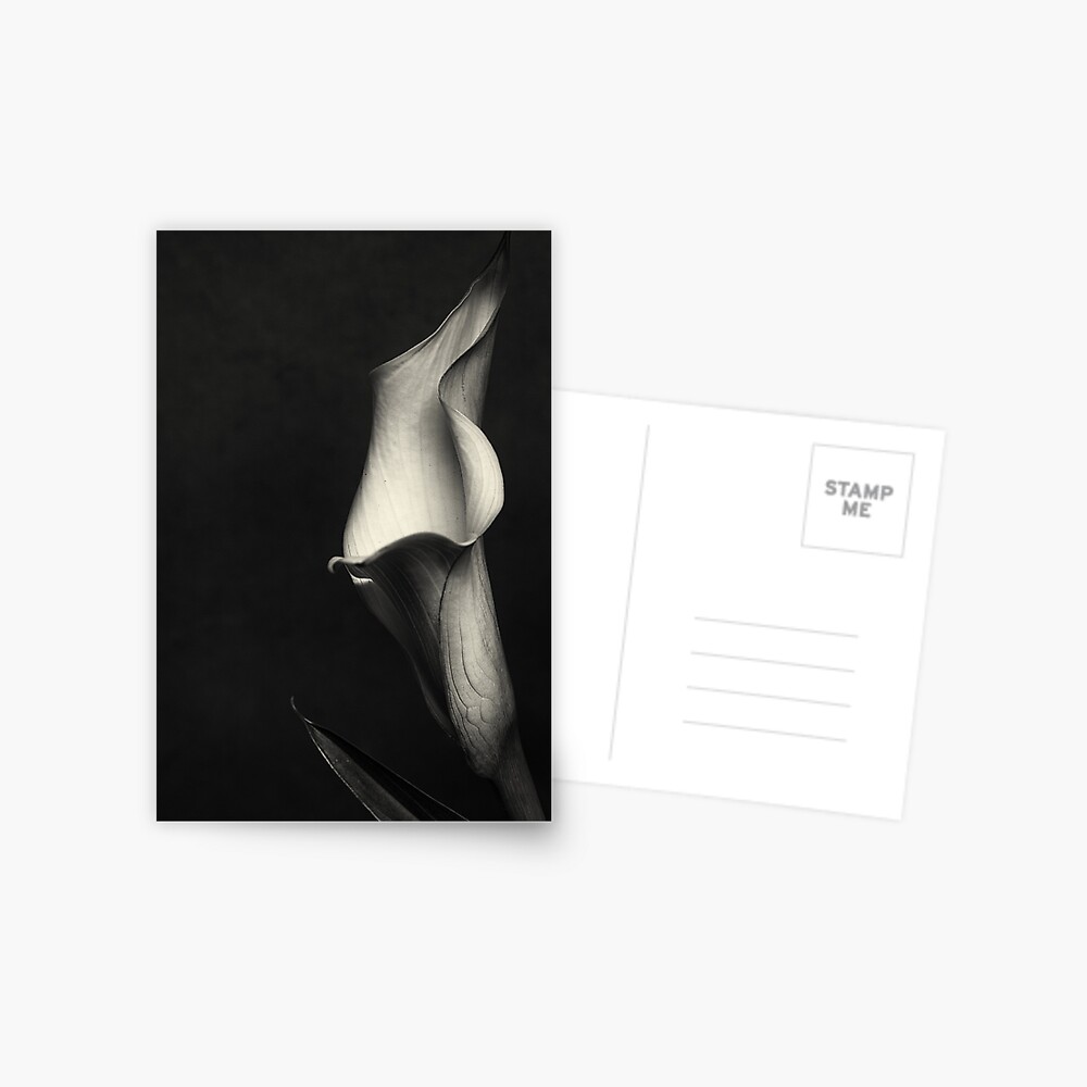 Item preview, Postcard designed and sold by FrankThomas.