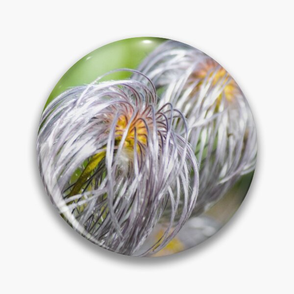 Item preview, Alpine Plants. designed and sold by CanadianWild418.