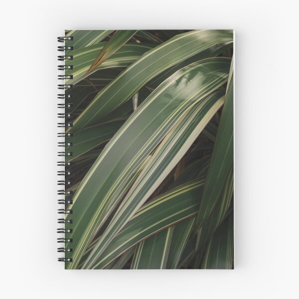 Aperçu de l'œuvre Plante verte avec la lumière du soleil frappant les feuilles créée et vendue par HarryHas.
