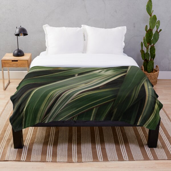 Aperçu de l'œuvre Plante verte avec la lumière du soleil frappant les feuilles créée et vendue par HarryHas.