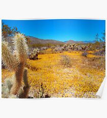 Anza Borrego Desert in Bloom Poster