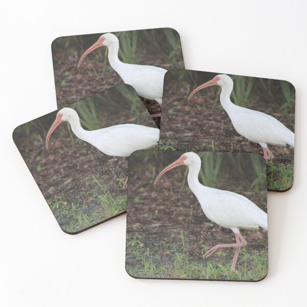 Item preview, Search for new areas designed and sold by Outdoor-wonders.