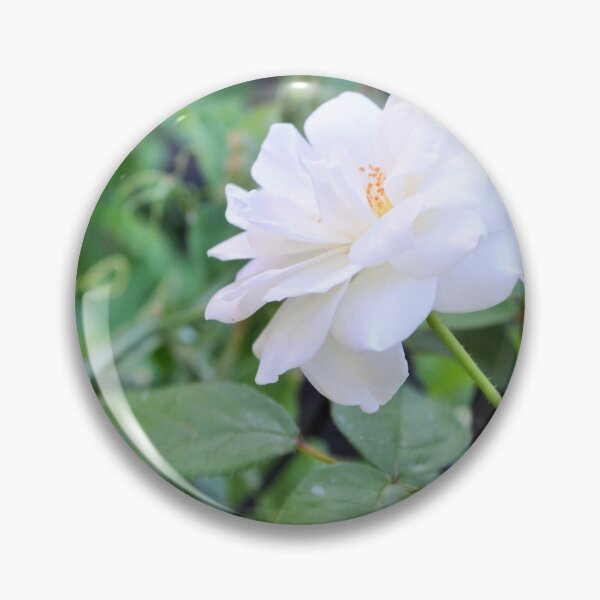 Item preview, white flower,whitest rose designed and sold by Fiveladiesart.