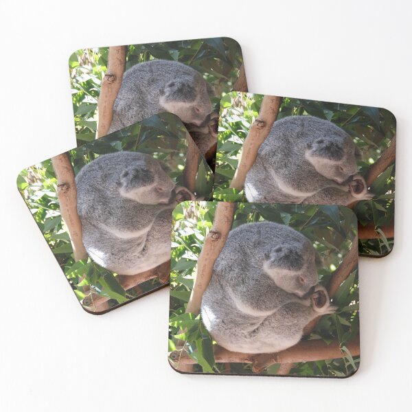 Item preview, KOALA RESTING ON A GUM TREE | Animal Photo designed and sold by PhotoStory.