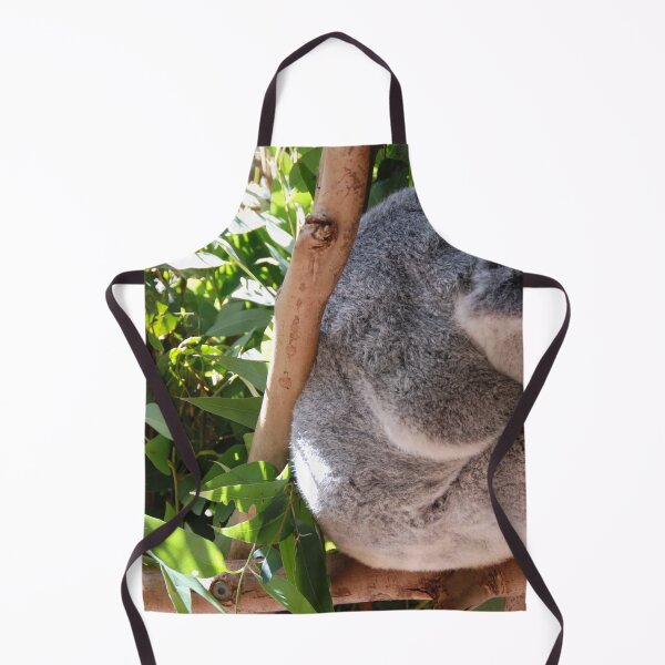 Item preview, KOALA RESTING ON A GUM TREE | Animal Photo designed and sold by PhotoStory.