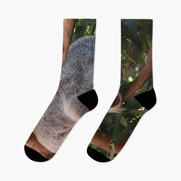 Item preview, KOALA RESTING ON A GUM TREE | Animal Photo designed and sold by PhotoStory.