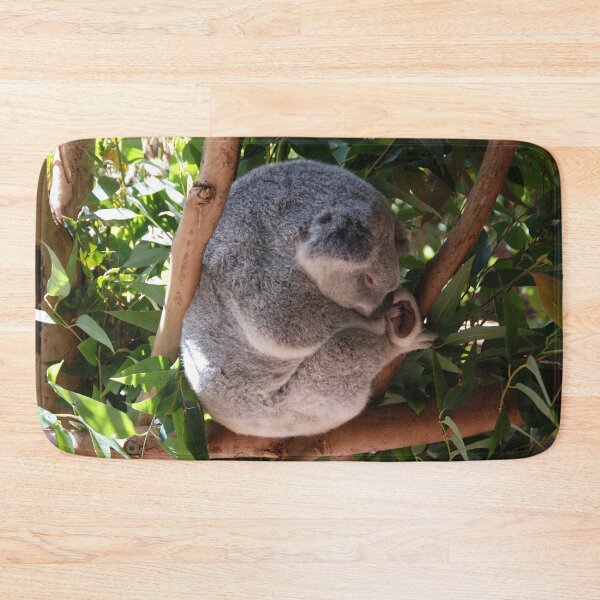 Item preview, KOALA RESTING ON A GUM TREE | Animal Photo designed and sold by PhotoStory.
