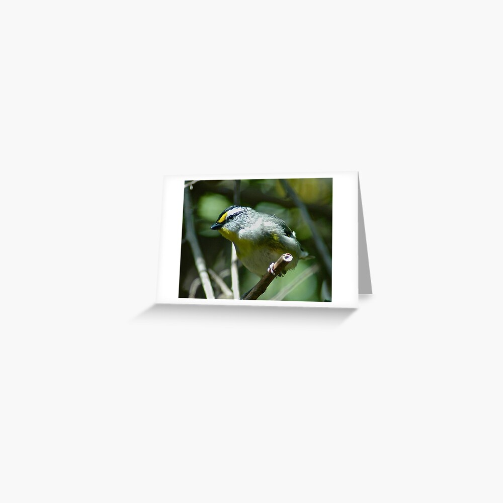 Item preview, Greeting Card designed and sold by tasmanianartist.