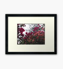 Flowers Framed Print
