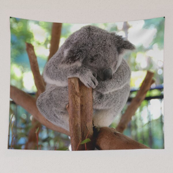 Item preview, SLEEPY KOALA | Animal Photo designed and sold by PhotoStory.