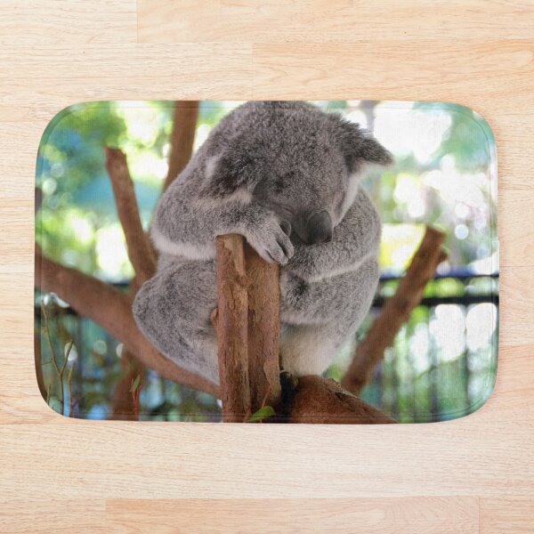 Aperçu de l'œuvre SLEEPY KOALA | Photo animalière créée et vendue par PhotoStory.