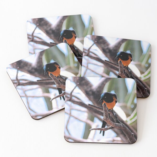 Item preview, PEERING DOWN designed and sold by BOLLA67.