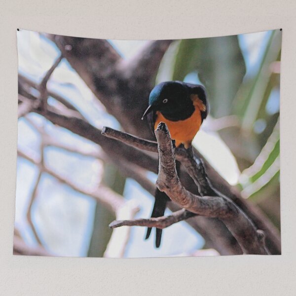 Item preview, PEERING DOWN designed and sold by BOLLA67.
