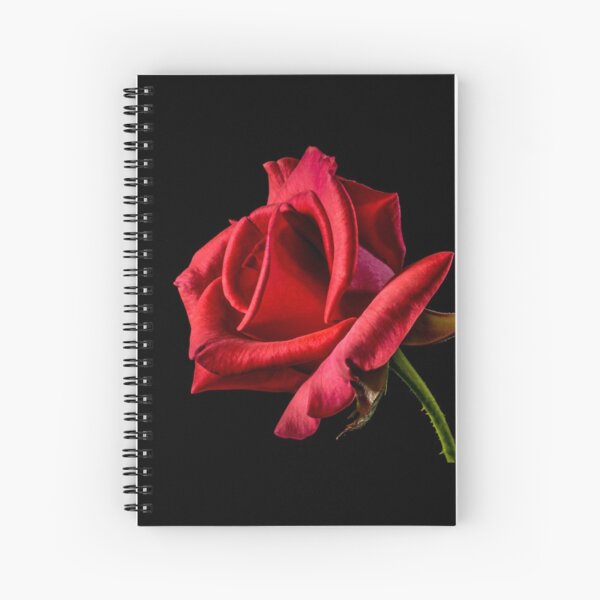 Rose Blume Spiral Notebooks Redbubble