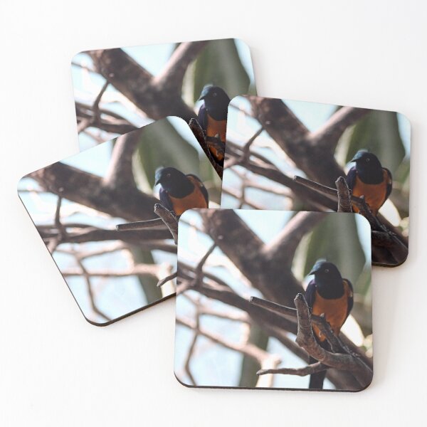 Item preview, I`M PRETTY designed and sold by BOLLA67.